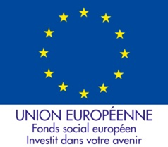 Logo fse 2