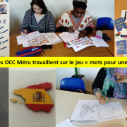 AFIPP OCC Méru