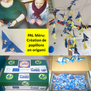 AFIPP PAL Méru