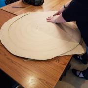Le sapin de Méru