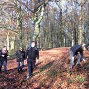 Les stagiaires de St Just en pleine récolte