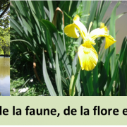 Découverte du paysage